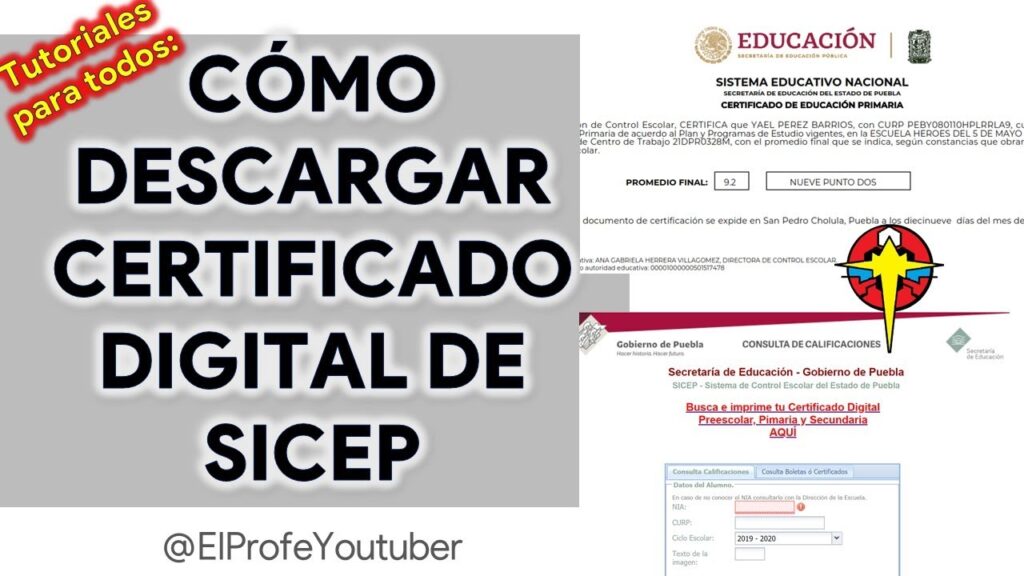 Guide to Accessing SEP Puebla Pre-Registration Results Online